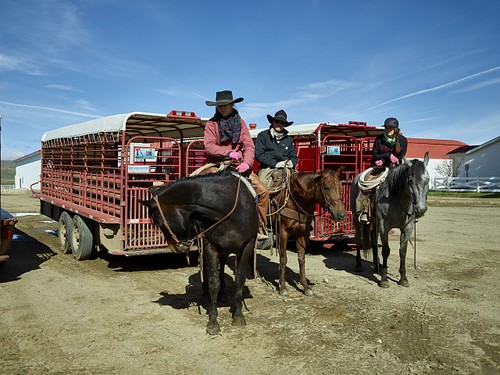 Carbon county wyoming big - carbon,