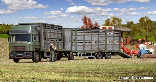 Cattle truck with - trailer, and