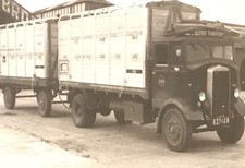 Belfast Leyland Beaver
